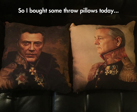 The most regal throw pillows you'll ever see