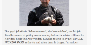 Meet the Swan Father