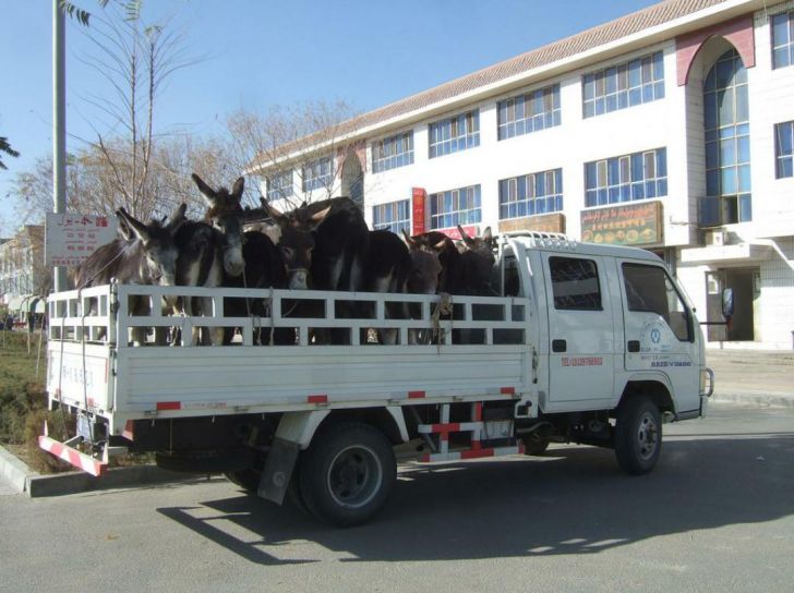 This truck is really hauling ass.