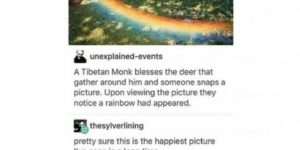 That’s a lot of gay deer