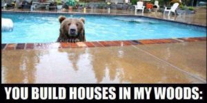 Bear has a point.