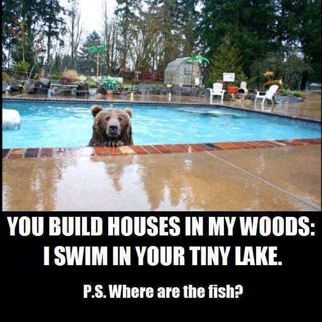 Bear has a point.