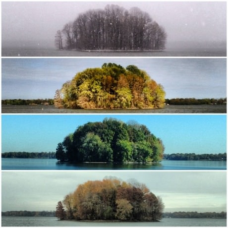 The Four Seasons of the Bush