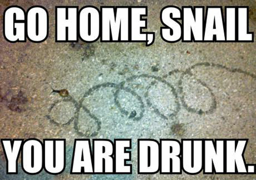 Go home, snail.