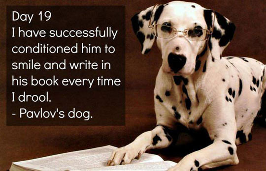 Pavlov's dog.