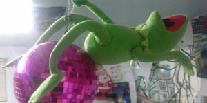 Kermit has lost it…