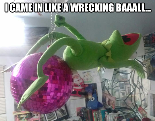 Kermit has lost it...