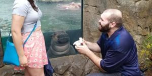 The hippo said yes!