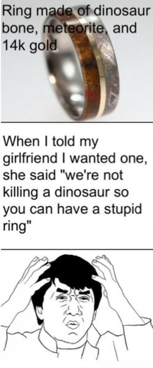 Ring made of dinosaur bone, meteorite and 14k gold.
