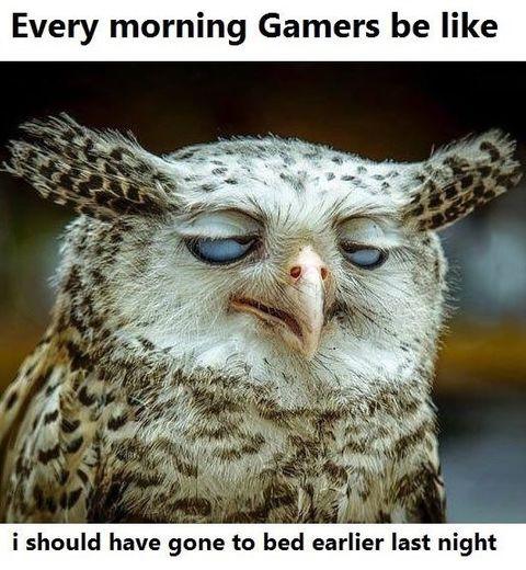 Right gamers?
