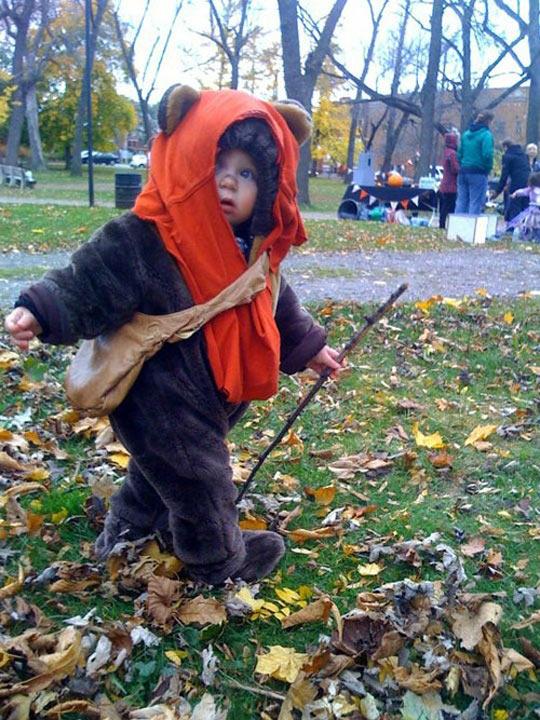 This Little Guy Just Won Halloween