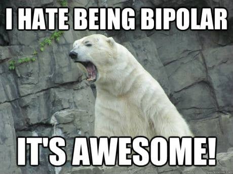 Bipolar Bear.
