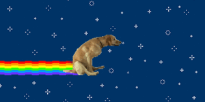 Nyan Dog