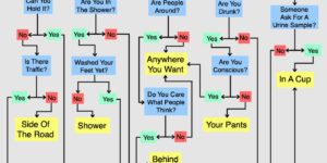 Where you should pee [flowchart]