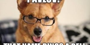 Pavlov?