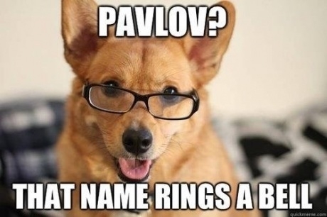 Pavlov?