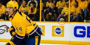 Pupper chilling in front of the pedigree ad.