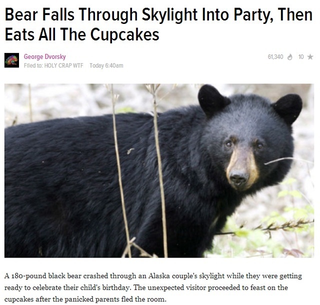 That's my kind of bear