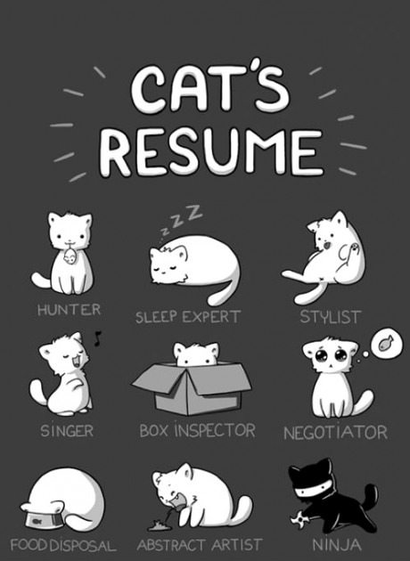 Cat's Resume.
