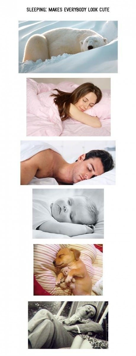 Sleeping: makes everybody look cute.