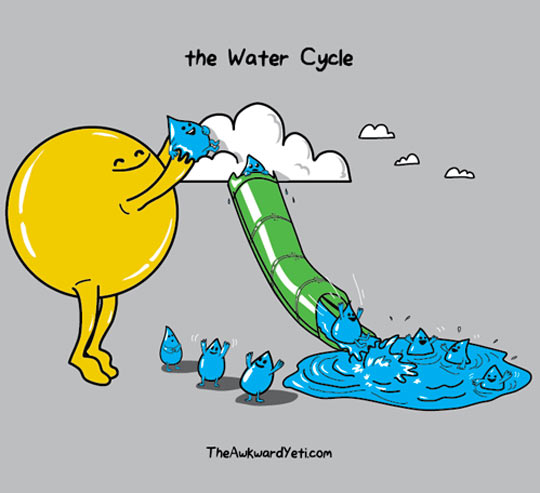 The water cycle.