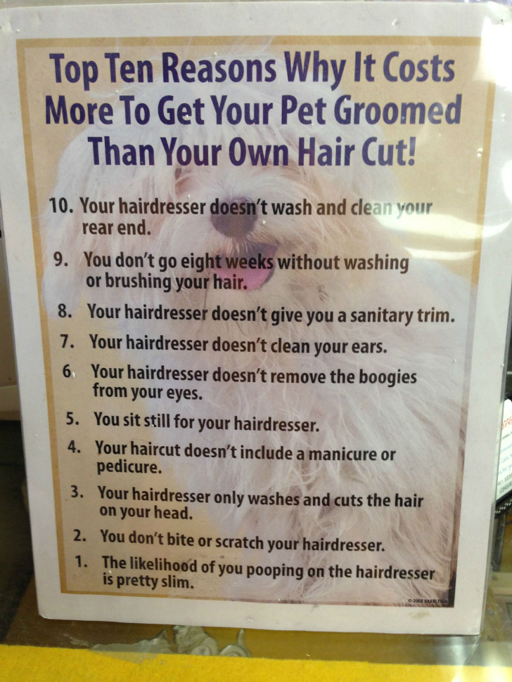 Why pet grooming is expensive...