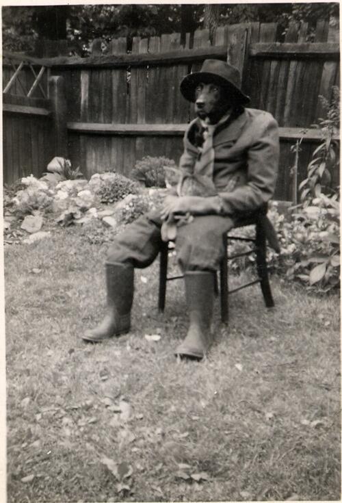 Just a dog dressed as a man with his pet cat.