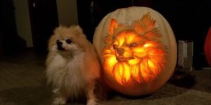 Pumpkin Bork