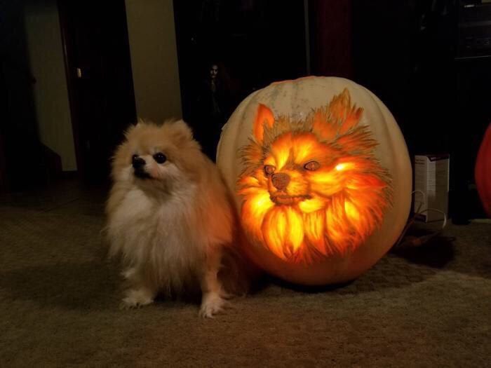 Pumpkin Bork