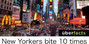 You are 10x more likely to be bitten by an inhabitant of New York City than by a shark