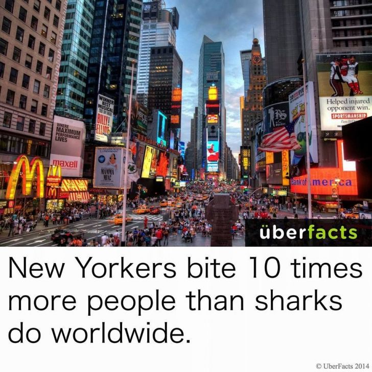 You are 10x more likely to be bitten by an inhabitant of New York City than by a shark