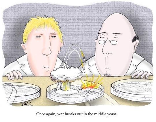 War in the Middle Yeast