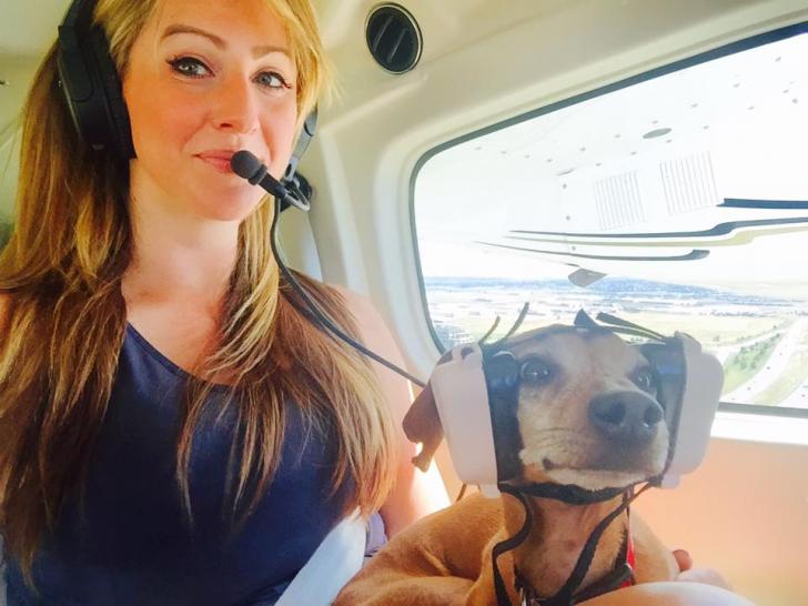 Puppy on his first flight