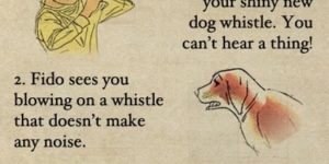 How do dog whistles work?