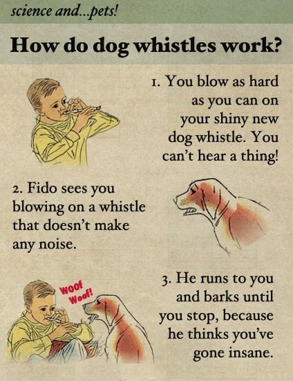 How do dog whistles work?