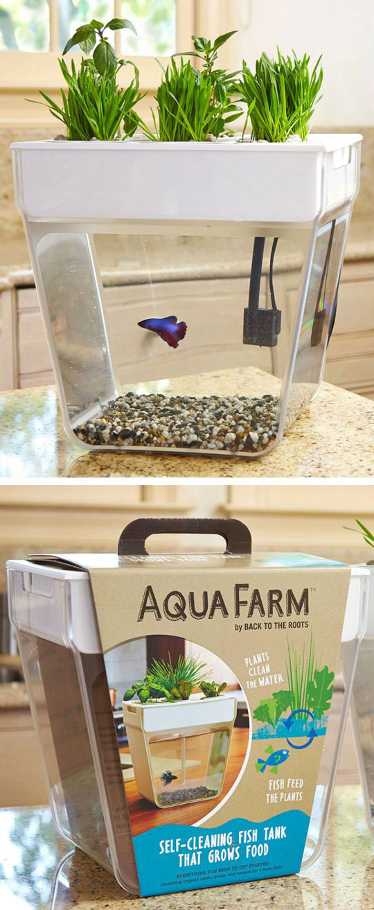 Self-sustaining Aqua Farm