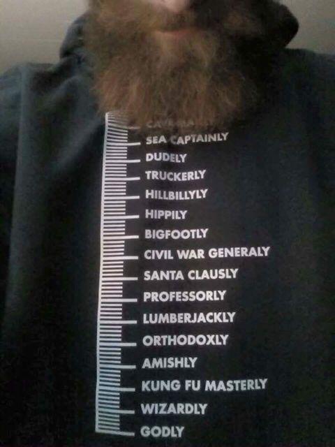 Definitive beard guide for those in need