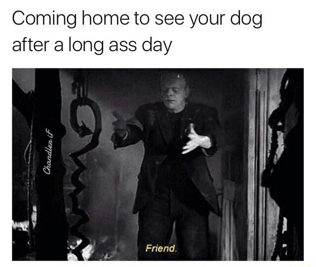 I miss puppers