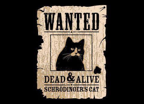 Wanted: Dead and Alive.