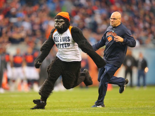 A guy wearing a gorilla suit and an All Lives Matter t-shirt ran on the field during the Bears vs. Lions NFL game.
