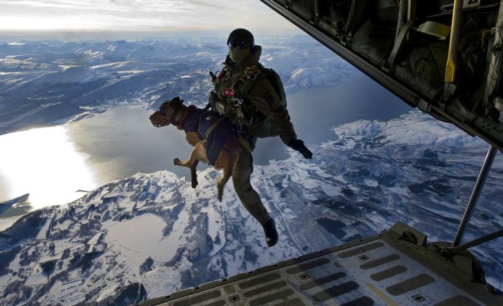 An Austrian Jagdkommando dropping from 10,000 ft with an explosives sniffing dog.