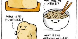 Complex Carbohydrates