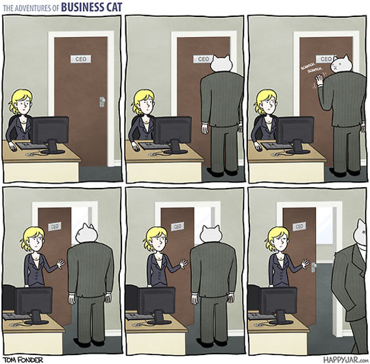 More from Business Cat