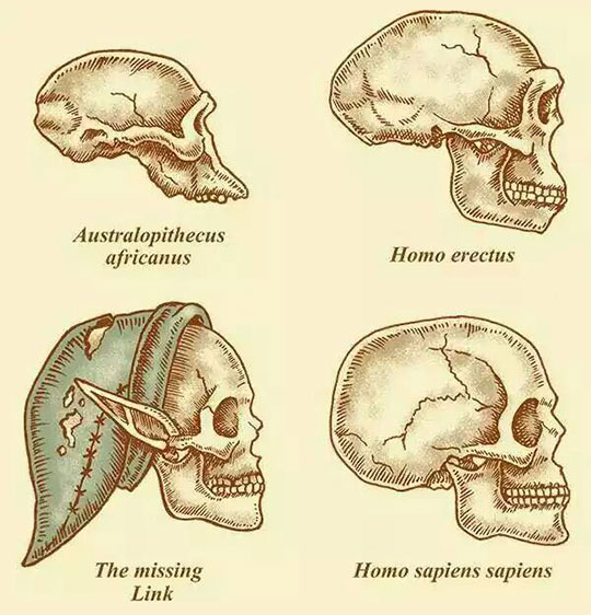 The missing Link