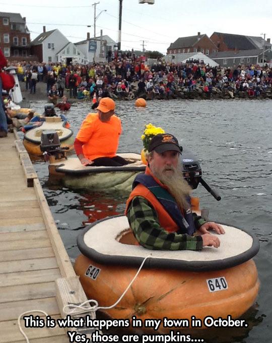 The great pumpkin race of 2018