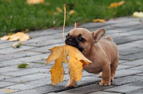 I love Fall...