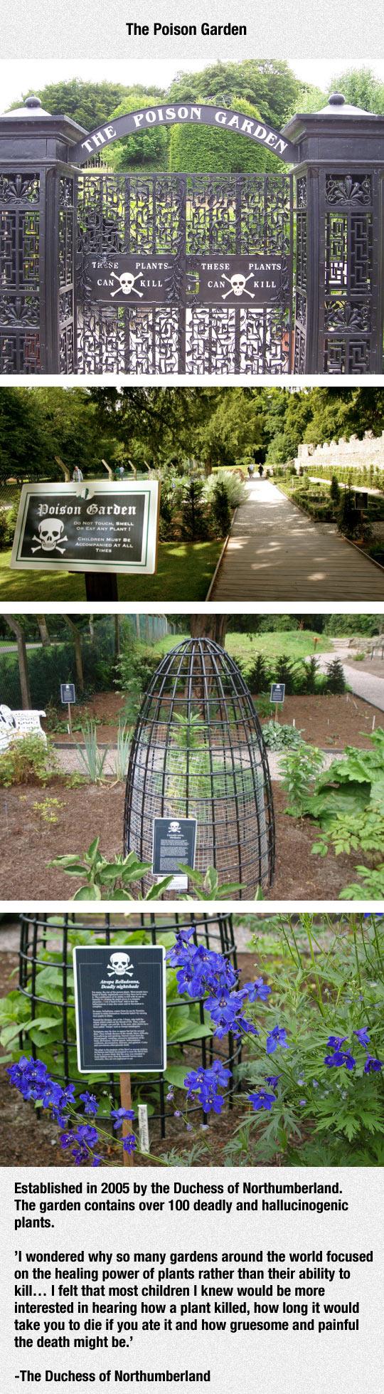 The Duchess of Northumberlands poison garden.