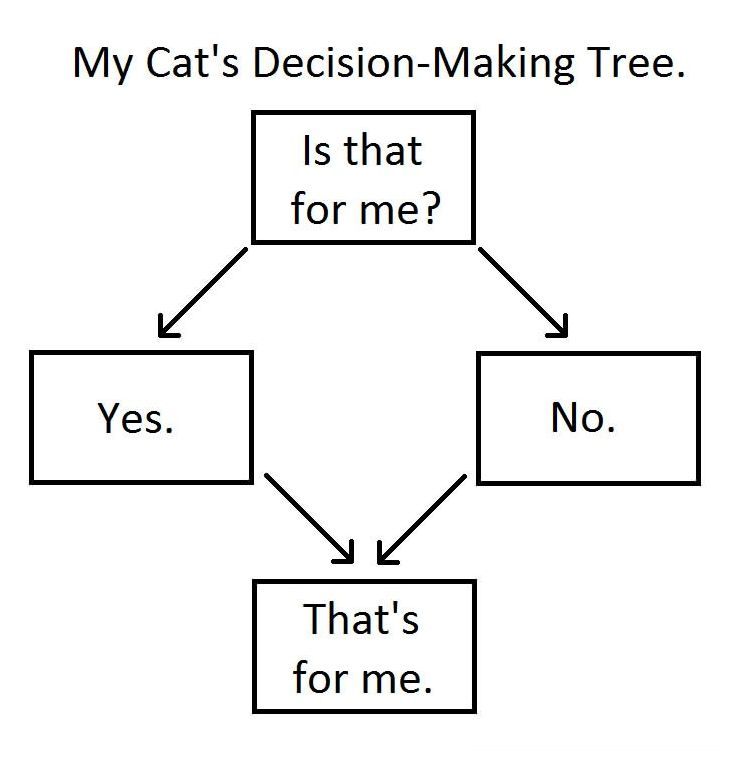 Cat decision-making tree.