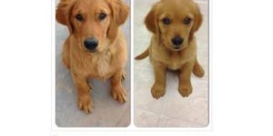 In just three months…