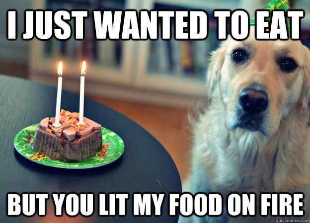 Depressed birthday dog.